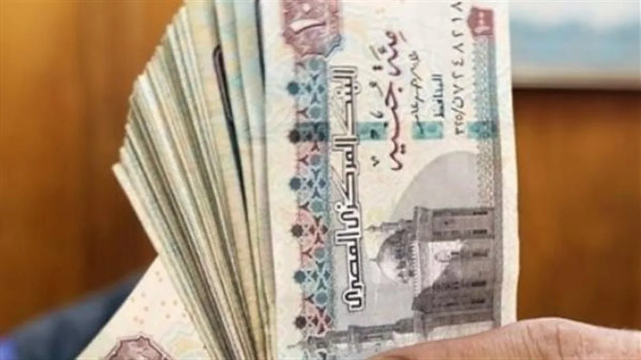 تجهيز المستندات.. تحديث بيانات تكافل وكرامة لضمان استمرار صرف الدعم النقدي